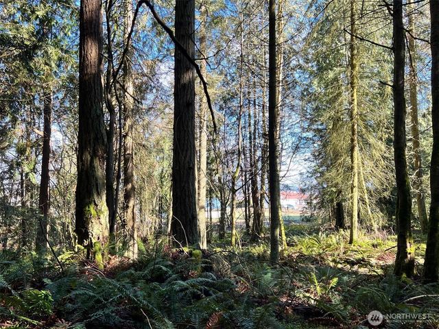 9999 S Sequim Ave Parcel B, Sequim, WA 98382