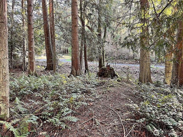 9999 S Sequim Ave Parcel B, Sequim, WA 98382