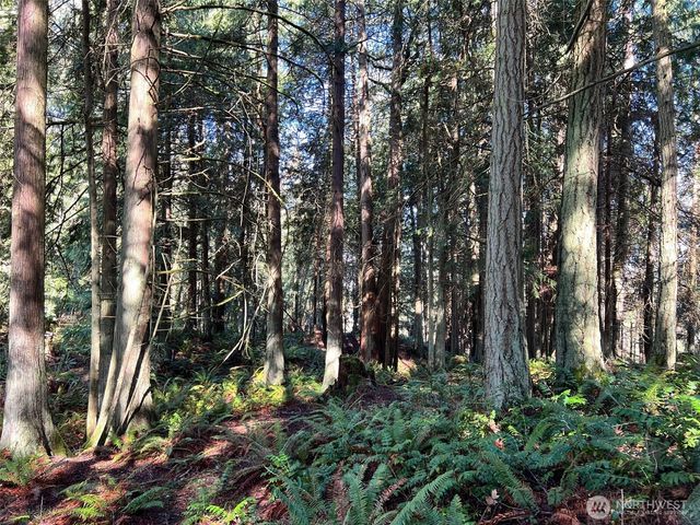 9999 S Sequim Ave Parcel B, Sequim, WA 98382