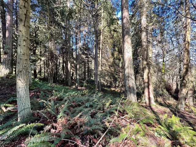 9999 S Sequim Ave Parcel B, Sequim, WA 98382