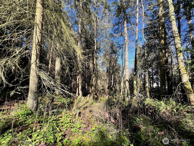 9999 S Sequim Ave Parcel B, Sequim, WA 98382