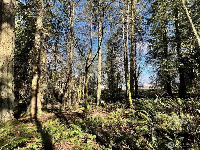 9999 S Sequim Ave Parcel B, Sequim, WA 98382
