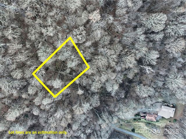 TBD Vireo Lane, Waynesville, NC 28785