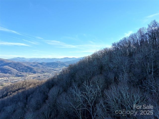TBD Vireo Lane, Waynesville, NC 28785