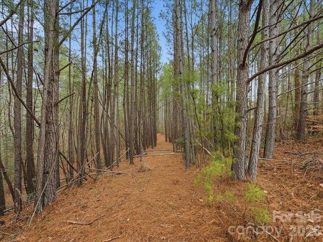 108 Rivercliff Drive W, Connelly Springs, NC 28612