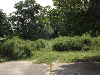 926 Hart Street, Bridgeport, CT 06602