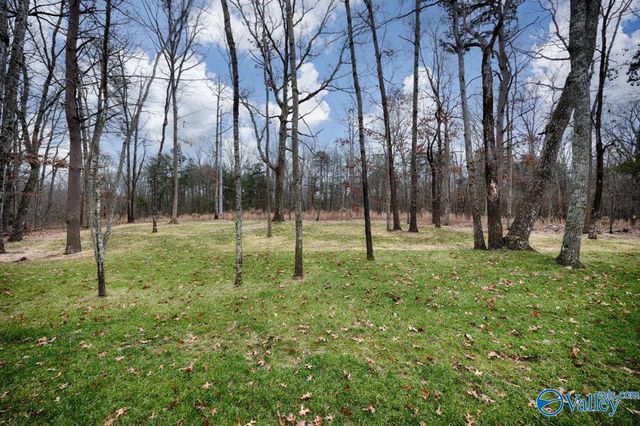 39 Trail Loop Road, Huntsville, AL 35803