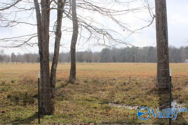 2490 County Road 505, Fort Payne, AL 35968