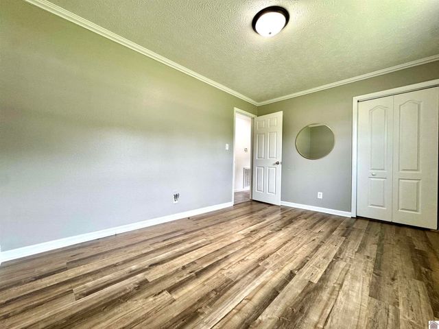 566 Golden Meadow Ln, Ledbetter, KY 42058