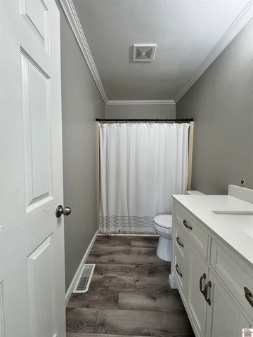 566 Golden Meadow Ln, Ledbetter, KY 42058