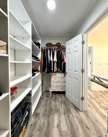 566 Golden Meadow Ln, Ledbetter, KY 42058