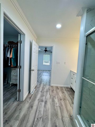 566 Golden Meadow Ln, Ledbetter, KY 42058