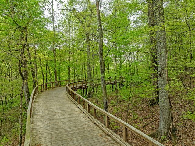 3710 Faith Road, Chattanooga, TN 37406