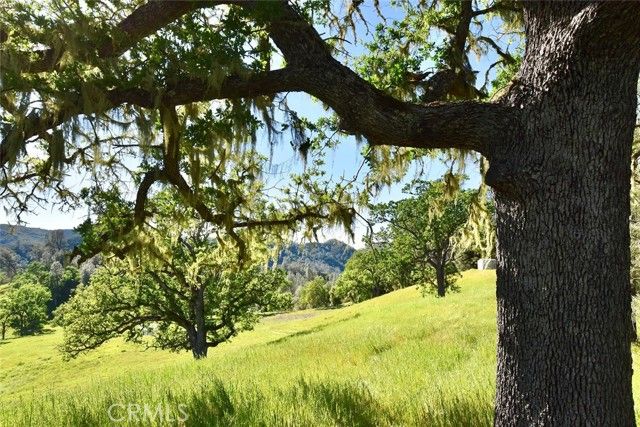 46651 Sapaque Valley, Bradley, CA 93426