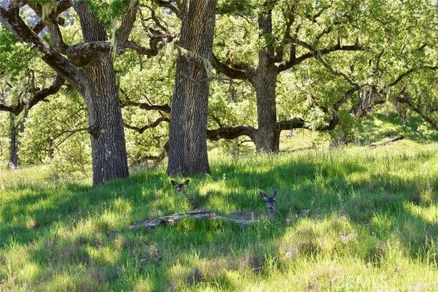 46651 Sapaque Valley, Bradley, CA 93426