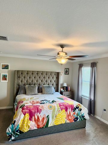 4003 WILD SENNA BOULEVARD, Tampa, FL 33619