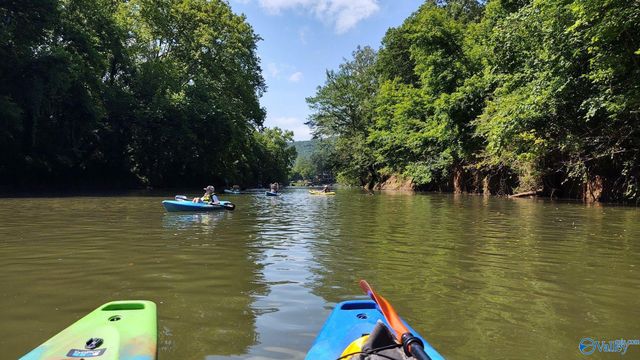 114 Canonbury Drive, New Market, AL 35761