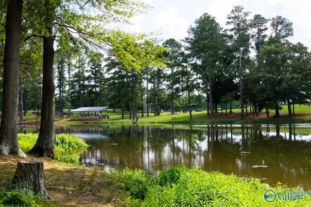 114 Canonbury Drive, New Market, AL 35761