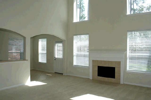 99 Bryce Branch Circle, The Woodlands, TX 77382