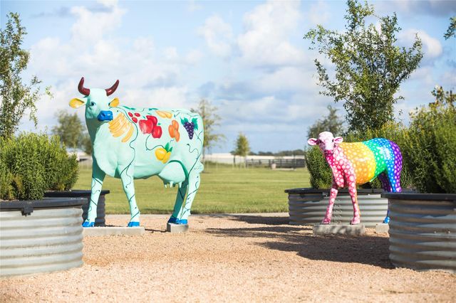 3103 Cranberry Creek Loop, Richmond, TX 77406