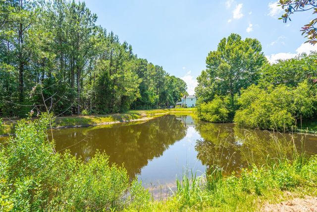 207 Nelliefield Creek Drive, Wando, SC 29492
