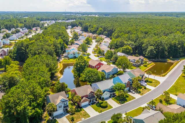 207 Nelliefield Creek Drive, Wando, SC 29492