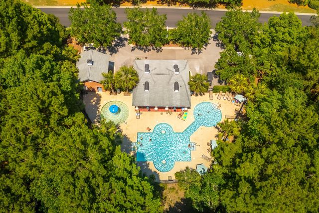 207 Nelliefield Creek Drive, Wando, SC 29492