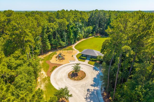 207 Nelliefield Creek Drive, Wando, SC 29492