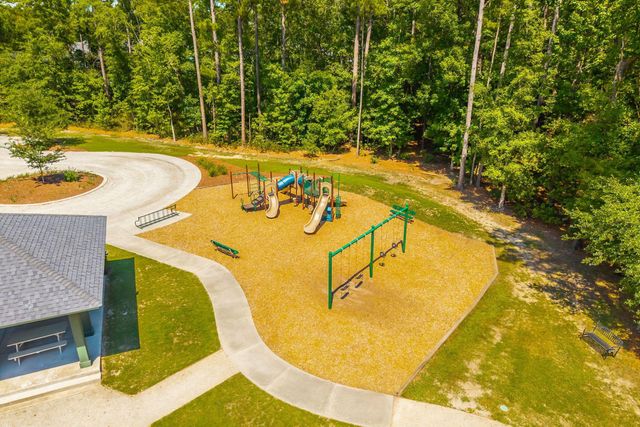 207 Nelliefield Creek Drive, Wando, SC 29492