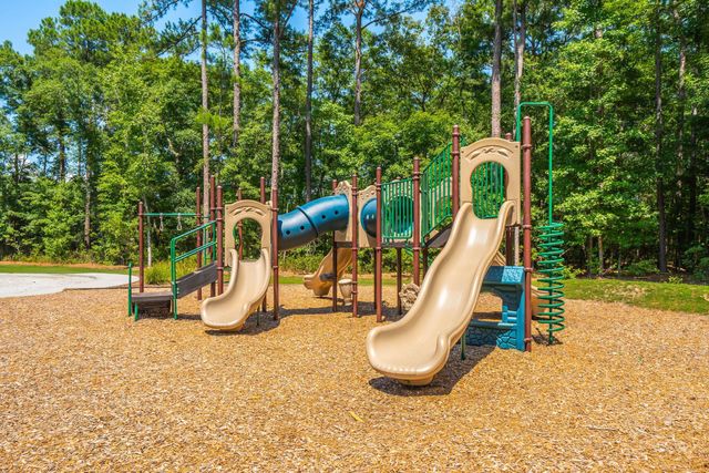 207 Nelliefield Creek Drive, Wando, SC 29492