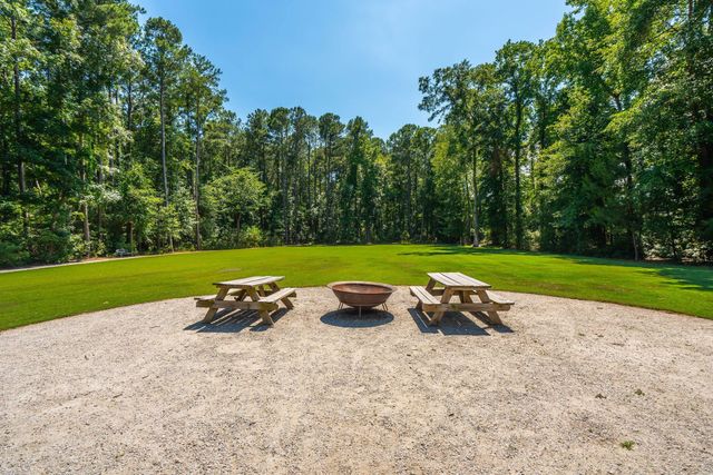 207 Nelliefield Creek Drive, Wando, SC 29492