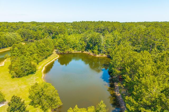 207 Nelliefield Creek Drive, Wando, SC 29492