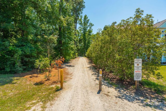 207 Nelliefield Creek Drive, Wando, SC 29492