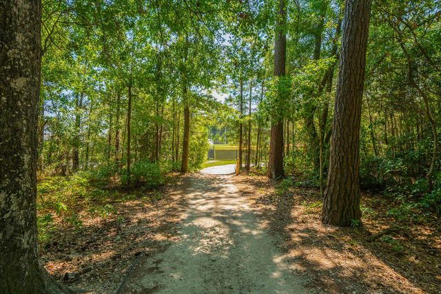 207 Nelliefield Creek Drive, Wando, SC 29492