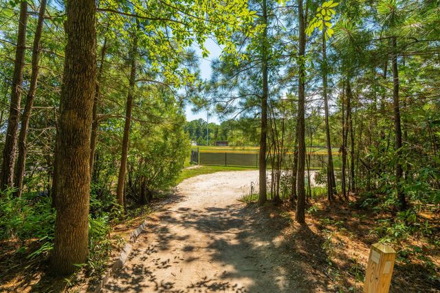 207 Nelliefield Creek Drive, Wando, SC 29492