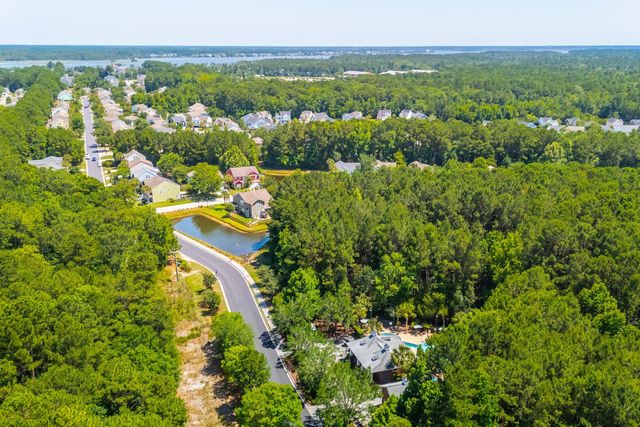 207 Nelliefield Creek Drive, Wando, SC 29492