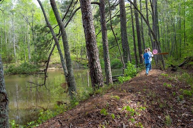 955 Ebenezer Lane, Milton, GA 30075