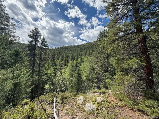 2 Fall River Rd, Idaho Springs, CO 80452