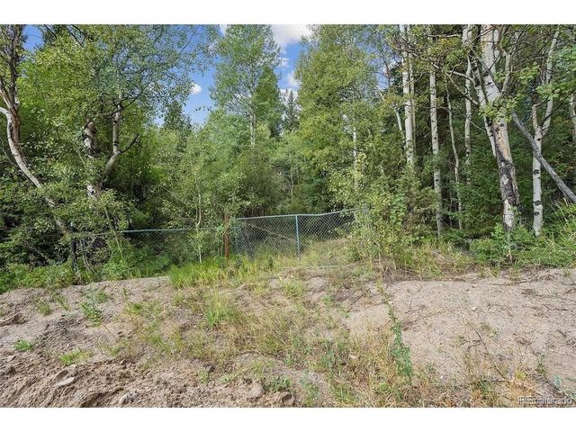 2 Fall River Rd, Idaho Springs, CO 80452