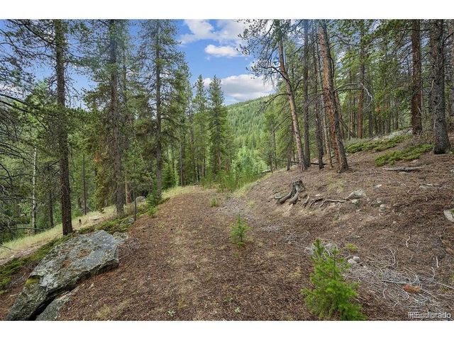2 Fall River Rd, Idaho Springs, CO 80452