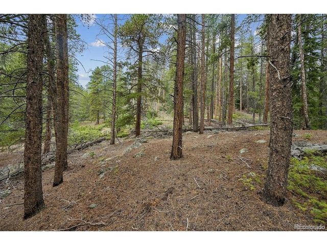 2 Fall River Rd, Idaho Springs, CO 80452