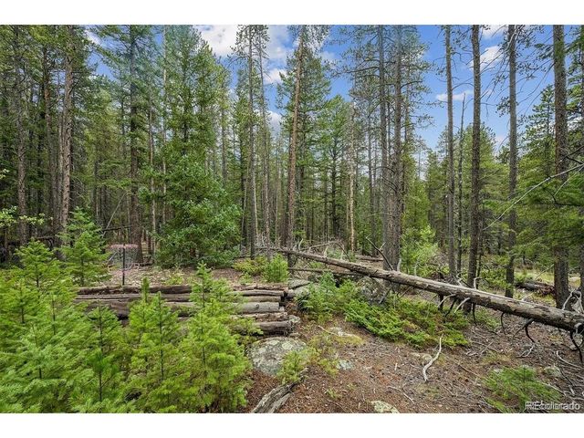 2 Fall River Rd, Idaho Springs, CO 80452