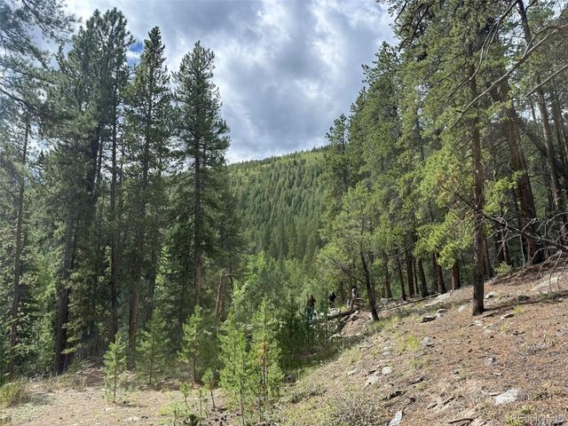 2 Fall River Rd, Idaho Springs, CO 80452