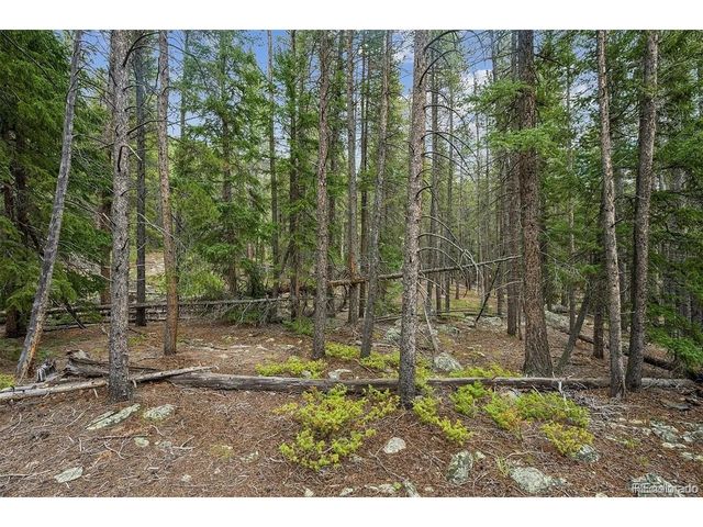 2 Fall River Rd, Idaho Springs, CO 80452