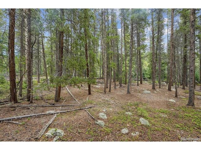 2 Fall River Rd, Idaho Springs, CO 80452