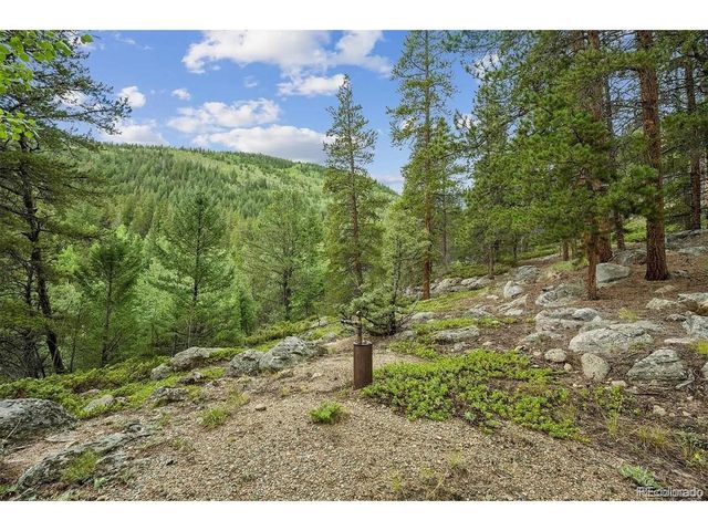 2 Fall River Rd, Idaho Springs, CO 80452