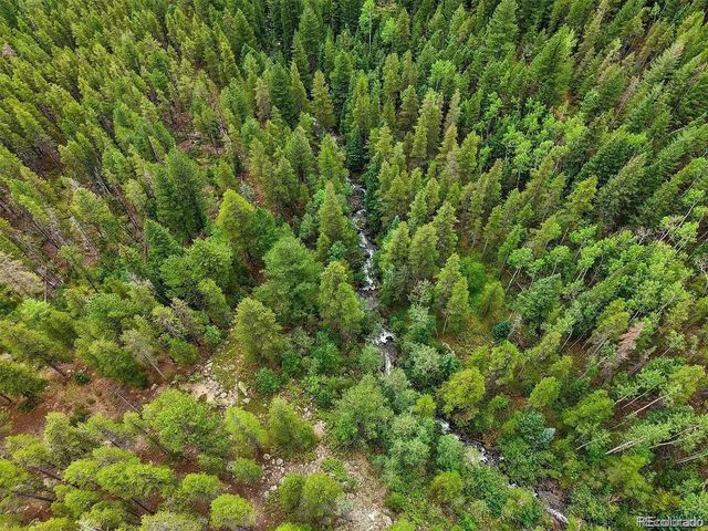2 Fall River Rd, Idaho Springs, CO 80452