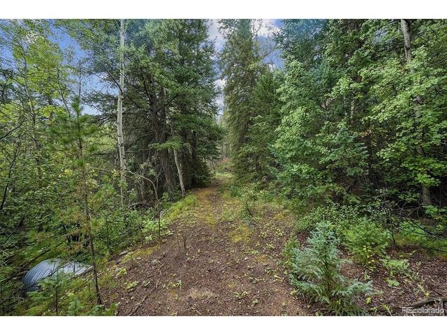 2 Fall River Rd, Idaho Springs, CO 80452