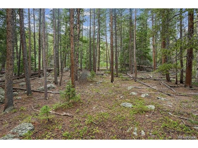 2 Fall River Rd, Idaho Springs, CO 80452