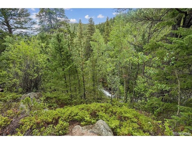 2 Fall River Rd, Idaho Springs, CO 80452
